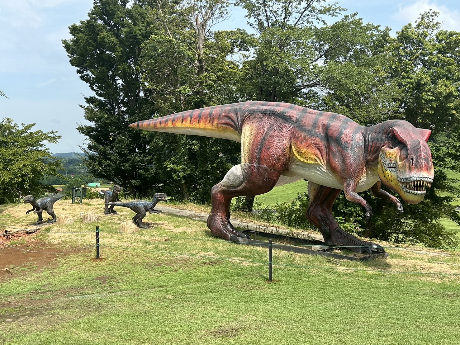 ジュラジャーマン・ライド | 東京ドイツ村 | 千葉県袖ケ浦市にある花と