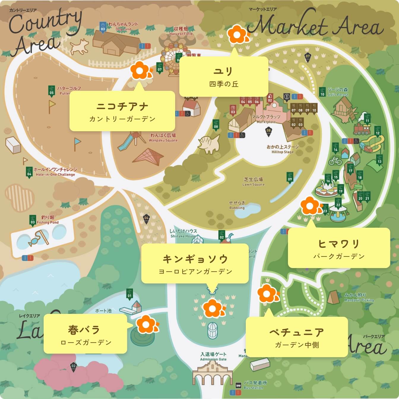 春バラはレイクエリアのローズガーデン、ユリはマーケットエリアにある四季の丘、アジサイはパークエリアのあじさいの森、キンギョソウは入場門ゲートの内側に位置するヨーロピアンガーデンにて鑑賞できます。