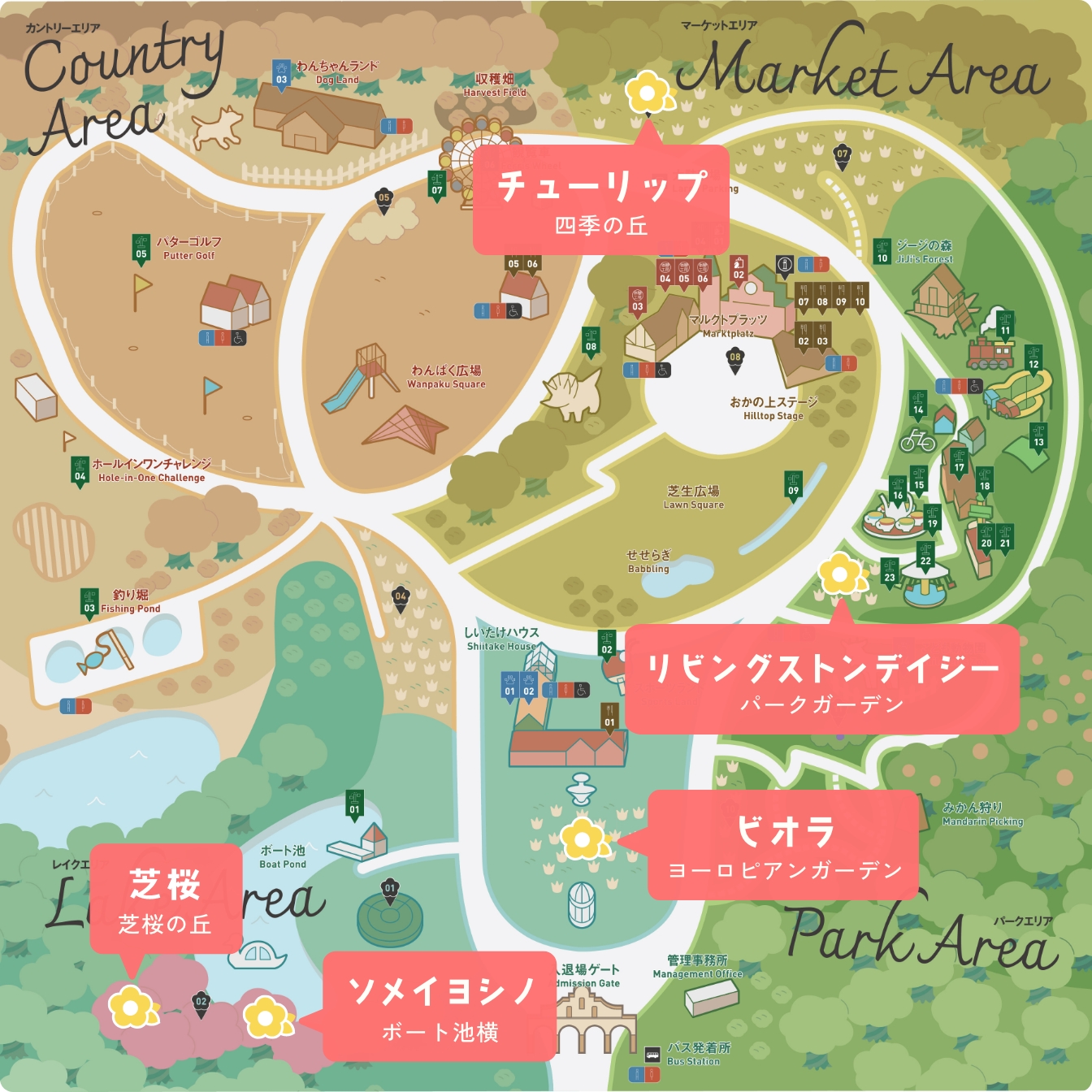 チューリップは四季の丘、リビングストンデージーはパークガーデン、ビオラはヨーロピアンガーデン、ソメイヨシノ・芝桜はボート池周辺で鑑賞できます。